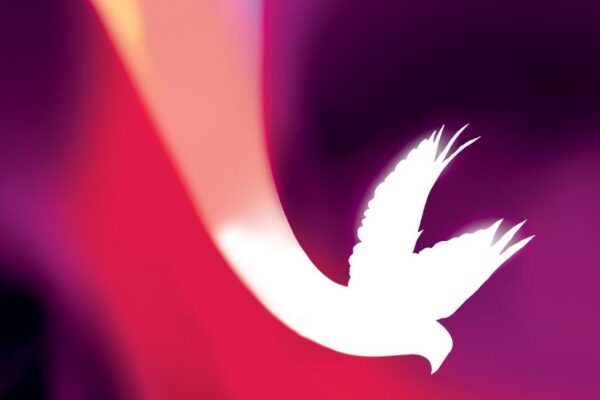 Bulletin Pentecost May 22, 2021