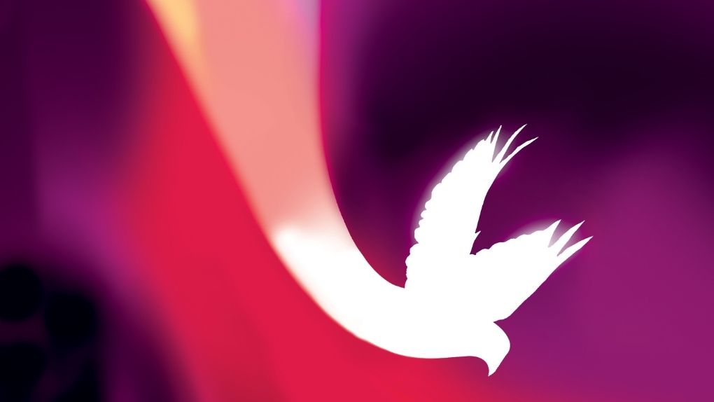 Bulletin Pentecost May 22, 2021